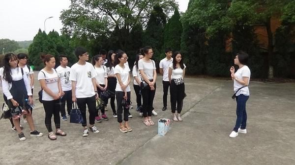 必赢net.95