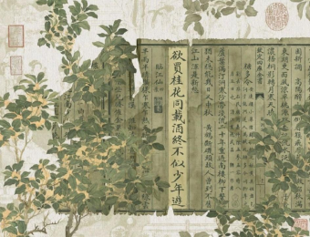 必赢net.95